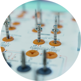 Advanced Implant Rehabilitation Experience