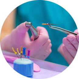 Endodontics Training