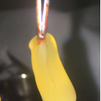 PRF In-Office