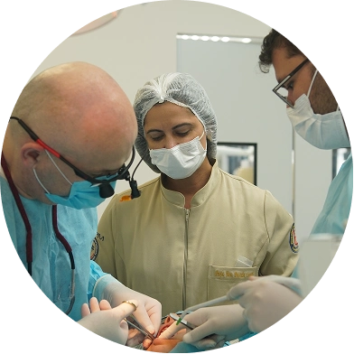 Intensive Live Surgery Implant Training And Live Surgery Implant Dentistry Experience